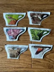 sugar packet collection of Brazilian animals