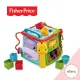 Fisher-Price 費雪 可愛動物積木盒/多功能玩具盒