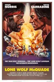 Chuck Norris Lone Wolf McQuade Movie Premium POSTER MADE IN USA - MCP543