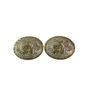 Western Barrel Racing Concho Screw back Silver Gold Cowgirl Oval 2 Conchos