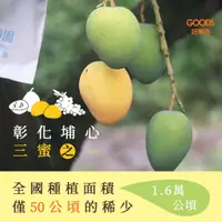 在飛比找蝦皮購物優惠-【埔心秘境果園】 青芒果 每滿 5斤（3000g)  送半斤