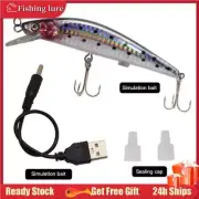 USB Fishing Lure Flashing Minnow LED Light Rechargeable Bait Twitching Electric