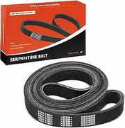 Heavy Duty Serpentine Drive Belt Compatible with Chevrolet B7 1999, C6500 C7500 Kodiak 1999-2000 & GMC B7 1999-2000 & Mack CL 2004-2007, CT 2006