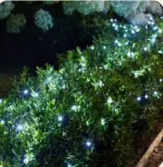 200 Solar Strings Cool White String Lights 2 Pack