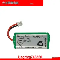 在飛比找露天拍賣優惠-Battery Pack 2.4v 750mAh NiMH 