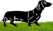 Dachshund Dog Metal Decor, Metal Dachshund Yard Art, Decorative Dog Garden Art, Yard Art Silhouettes, Decorative Dog Outdoor Garden Decorations For Yard Lawn Patio Pathway
