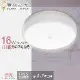 【寶鳥之光】16W LED 感應蛋糕吸頂燈/白光 Y6S16DEI