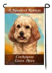 A Spoiled Rotten Buff Cockapoo Lives Here
