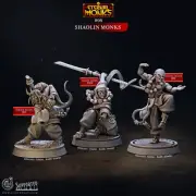 Shaolin Monk set of 3, Miniatures designed for Dungeons & Dragons