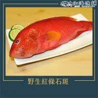 在飛比找新光三越 skm online優惠-【北海漁鋪】野生紅條石斑(300-350g/包)*3包