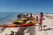Sea Kayaking Adventure - Monkey Mia