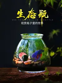 在飛比找樂天市場購物網優惠-斗魚缸生態瓶魚免換水微景觀玻璃水族箱造景創意辦公桌面生態魚缸