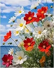TAOPAOLAB Beautiful Floral Paint by Numbers Kit for Adults - DIY Wildflowers by The Sea Painting on Canvas 16x20 Inches, Acrylic Paint Set, Suitable for Beginners, Art for Home Decoration or Gifts