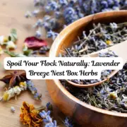 Lavender Breeze Nesting Box & Coop Herbs