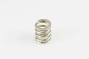 Allparts BP-3706 Bigsby® 7/8 in. Tension Spring, Stainless Steel