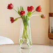 FANTESTICRYAN Modern Glass Vase Irised Crystal Clear Glass Vase for Home Office Decor (Crystal Clear)