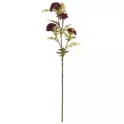 29.5" Dark Red Queen Anne's Lace Stem by Ashland®