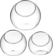CLISPEED 3 Pcs Glass Vases Plant Containers for Home Office Decor for Succulent Planters and Air Plants Display