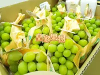 在飛比找樂天市場購物網優惠-日本長野須高麝香葡萄保證空運一箱4.5~5公斤約10~12房