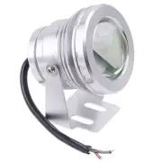 Outdoor Floodlight 10W LED Underwater Lamp Swimming Pool Light Waterproof 12V