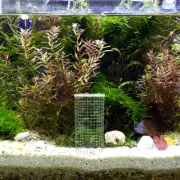 Fish Shrimp Shelter Grid Breeding Cave Fish Breeding Cone Grid Spawning Bucket