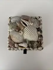 Handmade Shimmering Sea Shell Trinket Box
