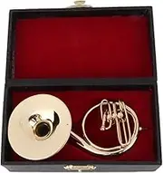Respicefinem Miniature Model Ornament Mini Musical Instruments Craft Home Decoration Exquisite Appearance Gold Plated Brass Replica With Base For Bookcase Desk Table
