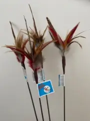 4 COUNT CAT TEASER WILD THING FEATHER WAND GO CAT TOYS 18"