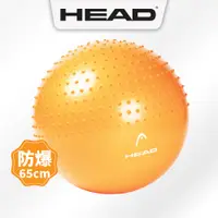 在飛比找蝦皮商城優惠-HEAD海德 專業雙效防爆瑜珈球 65cm gymball 