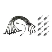 8 x NGK Spark Plugs + Bosch Leads for Ford Fairmont Falcon EB ED EF EL XH LPG