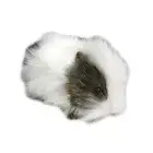 Hansa Guinea Pig soft plush toy Grey/White 9"/22cm Hansa Toys