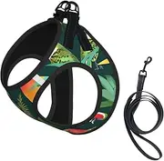Tropical Birds and Plant Leaf print Dog Harness and Leash Set, Reflective Adjustable Puppy Vest for Small Medium Large Dogs, Cats