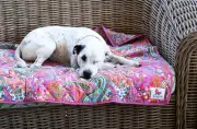 110 cm x 110 cm Large Cotton Eco PINK PURPLE Reversible Quilt Blanket for Cat...