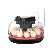 Digital Egg Incubator 12-24 Eggs Hatcher Breeder Automatic Hatching Machine Chicken Duck Bird Pigeon Quail Poultry Auto Turner Water Adding Candler