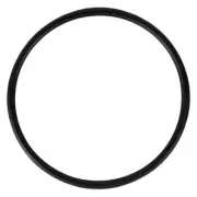 RTS1071 Motorcraft Thermostat Gasket for F450 Truck F550 F250 F350 Ford 11-17 (for: Ford)