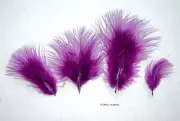 Marabou Feathers Small 1-3" fluffs PLUM PURPLE 7 grams approx. 105 per bag