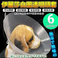 在飛比找Yahoo!奇摩拍賣優惠-【🐱🐶培菓寵物48H出貨🐰🐹】dyy》伊麗莎白圈透明頭套6號