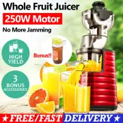 Whole Fruit Chute Cold Press Slow Juicer Extractor Vegetable Processor Portable