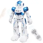 RC Robot Toys for , Gesture Sensing Programmable Rechargeable Remote Control ...