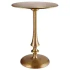 Accent Coffee Table Drink Table with Gold Finish Unique Design End Side Table