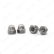 Titanium GR2 Hex Cap Nuts Hex Acorn Nut M4 M5 M6 M8 M10 M12 M16 M20