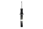 Shock absorber BILSTEIN 22-250421 (for: Volvo)