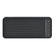 Sangean BLUTAB Portable Stereo/Bluetooth Speaker BTS101GB