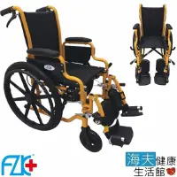 在飛比找momo購物網優惠-【海夫健康生活館】FZK 鐵製 烤漆 兒科 骨科 輪椅(FZ