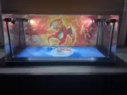 Charizard Custom 2 Card PSA display case with LED lights - Pokemon