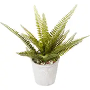 Cooper & Co Boston Artificial Indoor Decorative Plant Leafy Fern Green 30 cm
