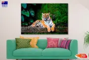 Beautiful Bengal Tiger with Lush Green Canvas Home Decor Australian Made Quality