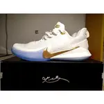 NIKE KOBE MAMBA FOCUS EP 白色 籃球 曼巴 AO4434-004 白金冠軍 慢跑鞋