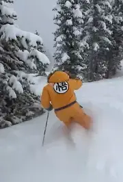 Goku Snowsuit. Insulated Ski Snowsuit. DragonBall. Snowboarding. size S