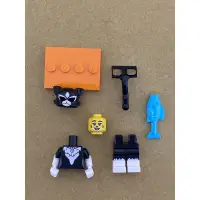 在飛比找蝦皮購物優惠-LEGO 樂高 人偶 貓女 第十八代人偶包 71021